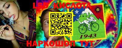 гашик Тара