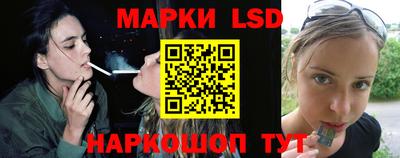 гашик Тара