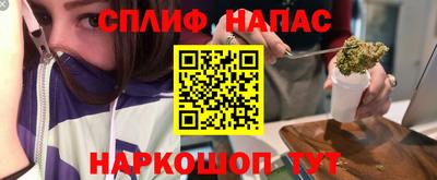 гашик Тара