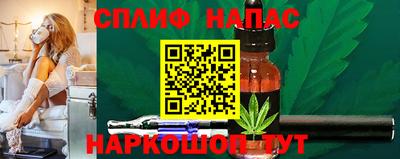 гашик Тара
