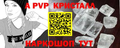 стаф Тверь