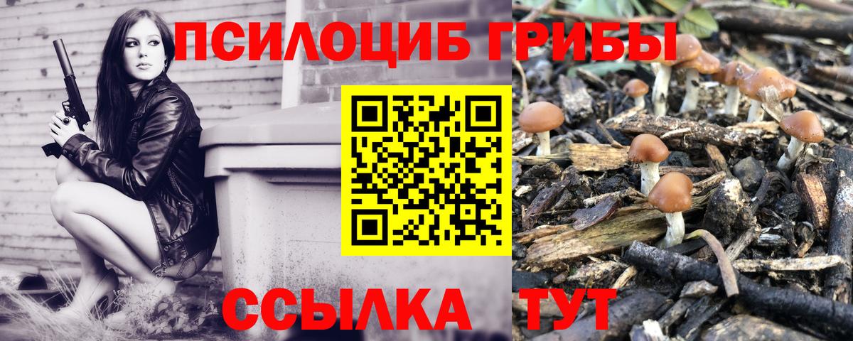 Галлюциногенные грибы GOLDEN TEACHER  Псилоцибиновые грибы мицелий  магазин  наркотиков  Ногинск  Вход с VPN 